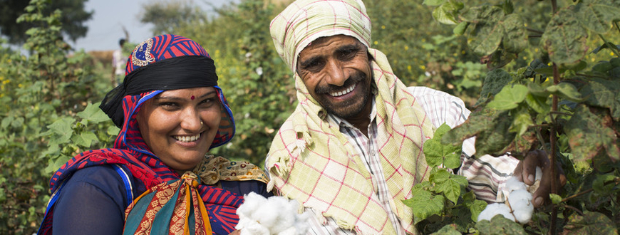 Fairtrade-Baumwollbäuerin Sugna Jat, 30, plückt Baumwolle mit ihrem Ehemann, Nandaram Jat, 40, auf ihrer Farm in Maheshwar, Khargone, Madhya Pradesh, Indien.