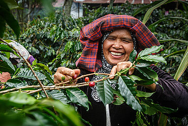 Kaffeebäuerin der Kooperative Kopepi Ketiara, Indonesien