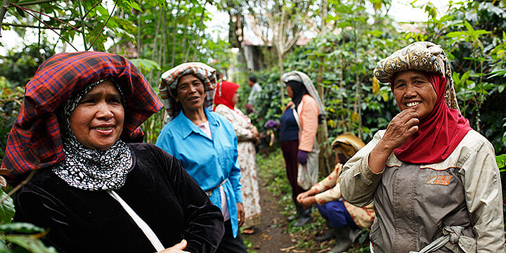 Frauen einer Fairtrade-Kaffeekooperative in Indonesien