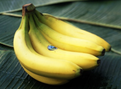 Fairtrade-Bananen von APOQ-