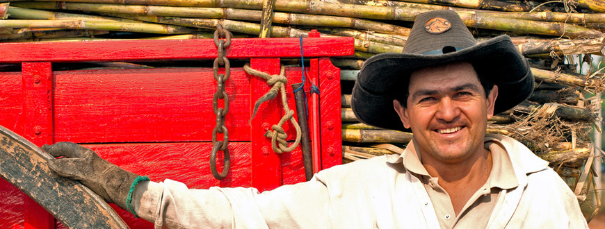 Zuckerbauer in Paraguay lehnt an seinem roten Ochsenwagen, der mit Zuckerrohr beladen ist.