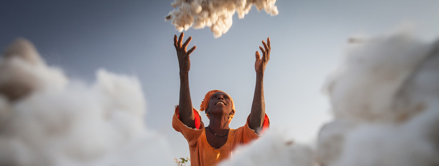 Kady Waylie, eine Baumwollbäuerin aus Sitaoulé Bananding im Senegal wirft frisch gepflückte Baumwolle auf einen Haufen