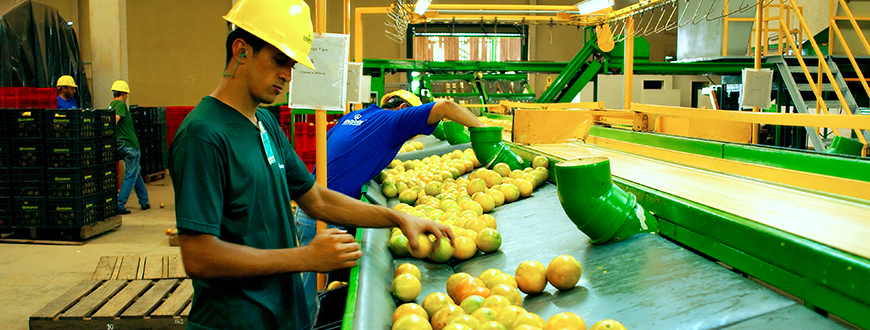 Orangenverarbeitungsfabrik in Brasilien