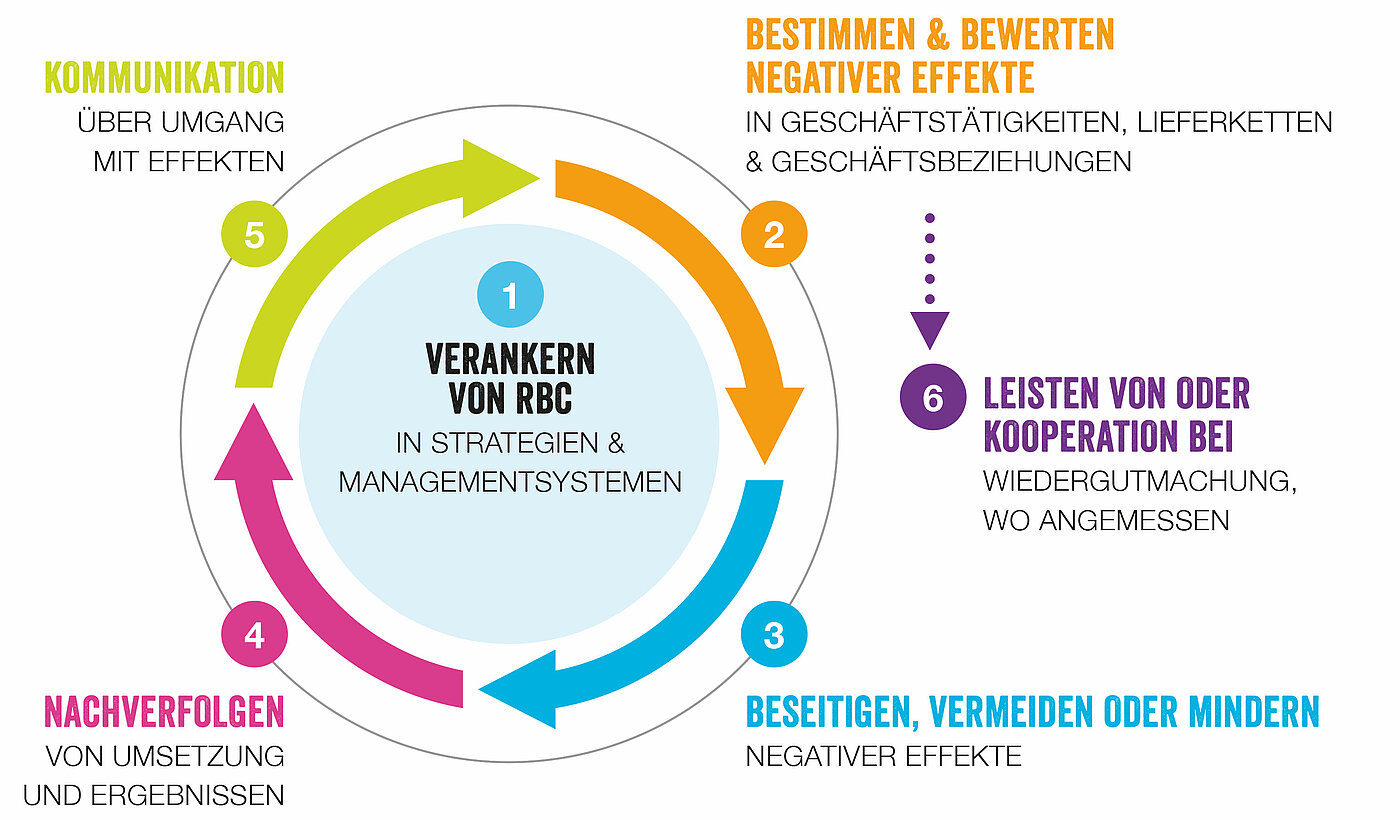 Grafik:  6 Schritte für die Erfüllung der Sorgfaltspflicht für verantwortungsvolles unternehmerisches Handeln (Responsible Business Conduct, RBC)  im OECD-Leitfaden