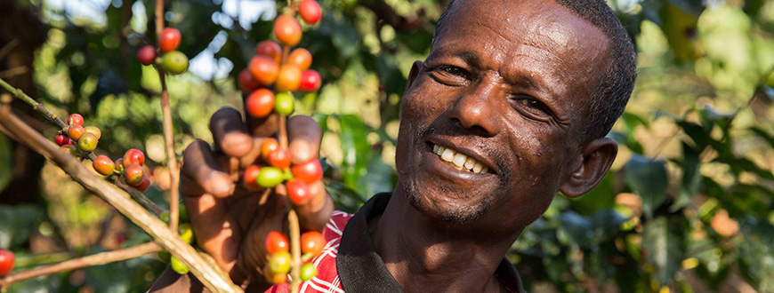 Fairtrade-Kaffeebauer aus Äthiopien. Foto: © Roger van Zaal 