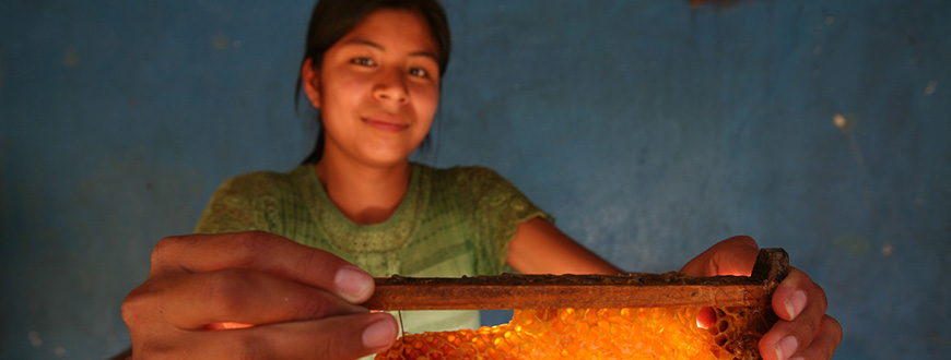 Sandri Lizeth Garcia Herrera, Fairtrade-Imkerin aus Guatemala