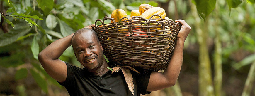 Fairtrade Kakao Produzent
