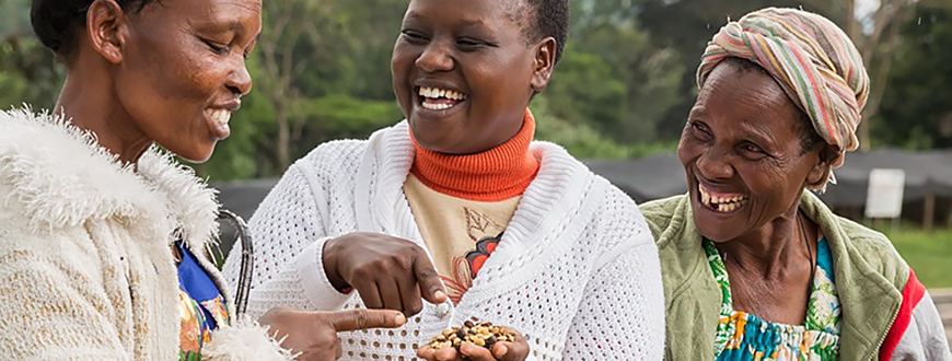 Drei Frauen vom Kaffeeprojekt in Kenia