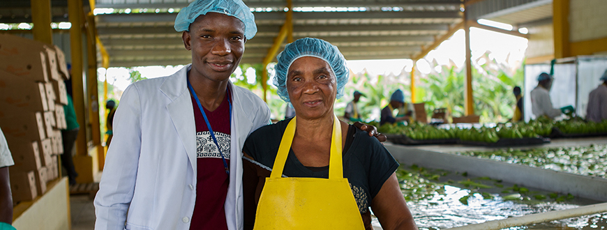 Bananen-Arbeiter*innen auf einer Fairtrade-Farm
