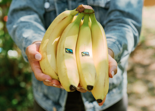 Fairtrade-Bio-Bananen „Bio Organic-