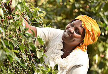 Fairtrade-Kaffeebäuerin aus Kenia