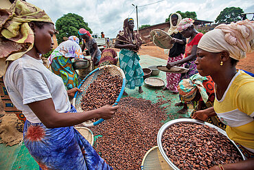 Kakaobäuerinnen (Elfenbeinküste)