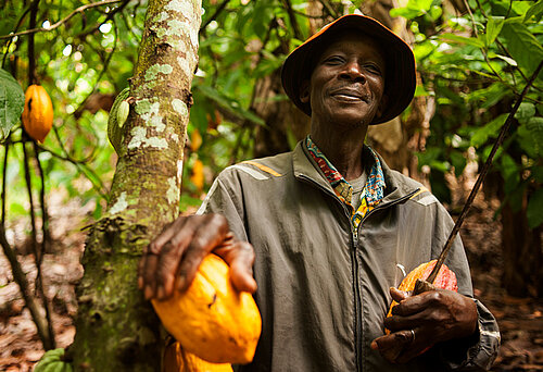 Theodor Kouakou, Kakaobauer, auf seiner Kakao-Farm