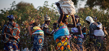 Frauen arbeiten auf einem Baumwoll-Feld in Afrika