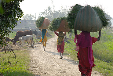 Reisbäuerinnen in Indien