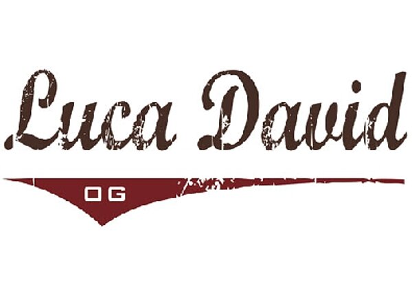 Luca David Logo