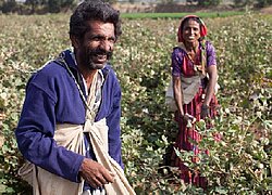 Die Baumwollkooperative RAPAR & DHRANGADHRA FARMERS PRODUCER CO. aus Indien