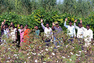 Baumwollbauern in Gujarat