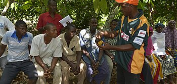Mitglieder der Fairtrade-zertifizierten Kakao-Kooperative ECOOKIM aus der Elfenbeinküste