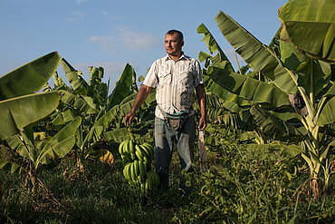 Ein Mann mit Bauchtasche, gestreiftem Hemd und zerschlissener Jeans steht inmitten von Bananenbäumen. Mit der einen Hand hält er ein Büschel Bananen, mit der anderen eine Machete.