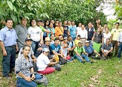 Die Bananen-Kooperative Asociación Agraria Bananera Fincas de El Oro in Ecuador