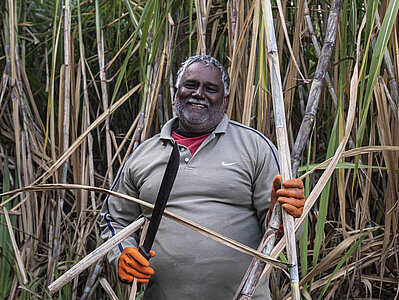 Fairtrade-Zuckerproduzent aus Mauritius 