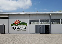 Die Blumenfarm Compania Agropromotera Agrocoex in Ecuador