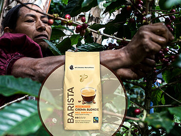 Tchibo BARISTA Blonde und Projektarbeit mit Fairtrade