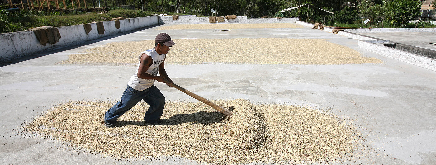 Kaffeebauer aus Guatemala. Bild: Sean Hawkey