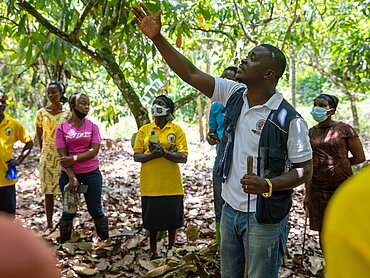 Starke Kooperativenstrukturen und Beratung fördern die Resilienz von Bäuerinnen und Bauern. Z.B. in Ghana im Kakaoanbau. Foto: Fairpicture/Nipah Dennis/Fairtrade