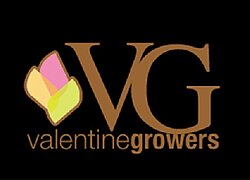 Die Blumenfarm Valentine Growers in Kenia