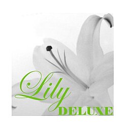 Lily-Deluxe-Logo