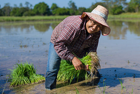 Phawadee Suphansai (35) von der Organic Jasmine Rice Producer Group (OJRPG) in Thailand