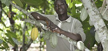 Dembele Mamdou von der Fairtrade-zertifizierten Kakao-Kooperative ECOOKIM aus der Elfenbeinküste