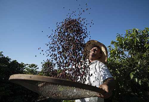 (c) Fairtrade/ Santiago Engelhardt