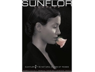 Sunflor Poster Ecuador Rosen