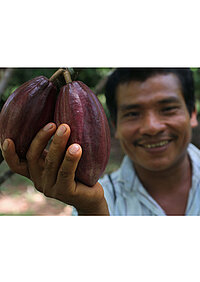 <p>Präsentation zum Thema Fairtrade-Kakao.</p>