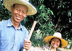 Die Reis-Kooperative Organic Jasmine Rice Producer