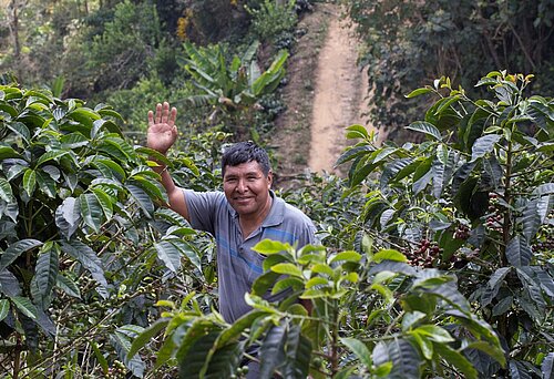 Der Resilienzfonds soll Landwirt*innen in 14 Ländern unterstützen. Foto: Fairtrade / Dennis Salazar