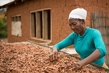 Kakaobäuerin bei ihrer Arbeit