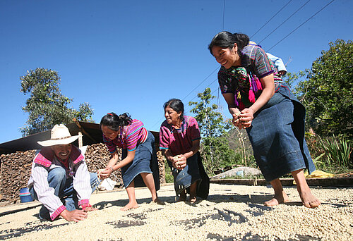 Kaffeeproduzent*innen auf einer Plantage in El Salvador. © Fairtrade / Sean Hawkey