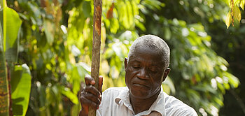 Kakaoproduzent Lamine Kouassi von der Kooperative Agricole aus der Elfenbeinküste