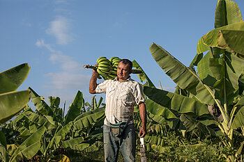 Bananenbauer. Bild: Fairtrade / Fairpicture