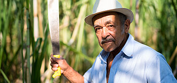 José Heredia, Besitzer einer Zuckerplantage, schneidet Zuckerrohr.