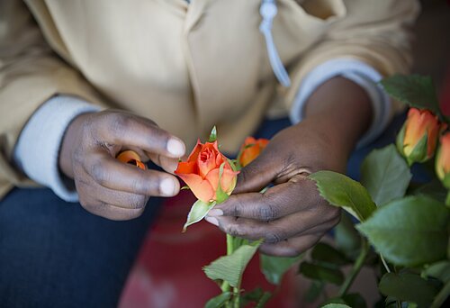 Fairtrade-Rose aus Kenia. Copyright: FAIRTRADE Österreich, Georges Desrues