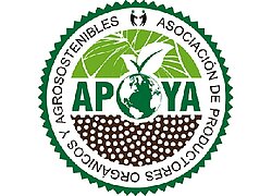 Die Zucker-Kooperative APOYA in Costa Rica