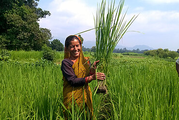Globalisierung fair gestalten – Ernährung sichern: Padma Devi Nigaltiya ist Reisbäuerin in Pathkhot, Region Ramnagar im indischen Bundesstaat Uttarakhand