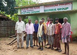 Die Pratima Organic Grower Group in Indien