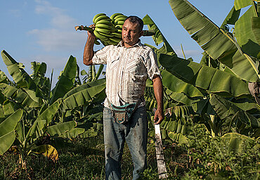 Bananenbauer Roberto Gallo aus Peru. 