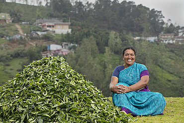 Eine Kleinbäuerin in Namil Tadu, Mitglied der Tee-Kooperative INDCOSERVE. Foto: Indcoserve